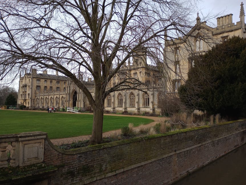A large historic building with gothic architectural features, including tall pointed windows and ornate stonework, is partially obscured by a leafless tree with numerous thin branches in the foreground. The building’s light-colored stone exterior contrasts with the darker, dense foliage of nearby bushes on the right side. In front of the structure, there is a well-maintained grassy area bordered by a low brick wall with decorative stone accents. The scene is set in an outdoor setting during winter or early spring, with muted lighting and an overcast sky, suggesting a calm and quiet environment. The image depicts an urban or park-like area where private waste management services, such as rubbish collection or on-site clearance by Waste Disposal Merton, could be carried out as part of maintaining the cleanliness of such historic sites and their surroundings, aligning with professional rubbish removal practices.